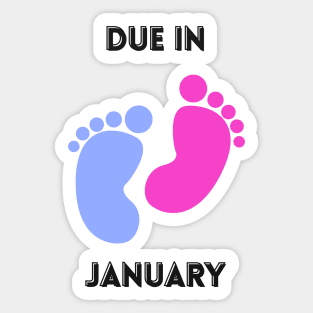 Due in January footprints Sticker